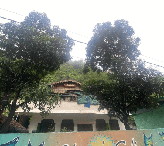 Shivani’s Cafe
