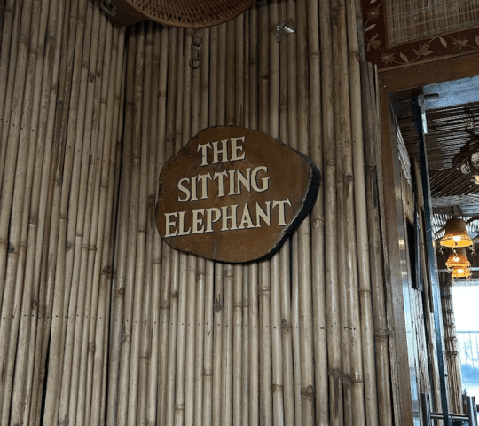 The Sitting Elephant