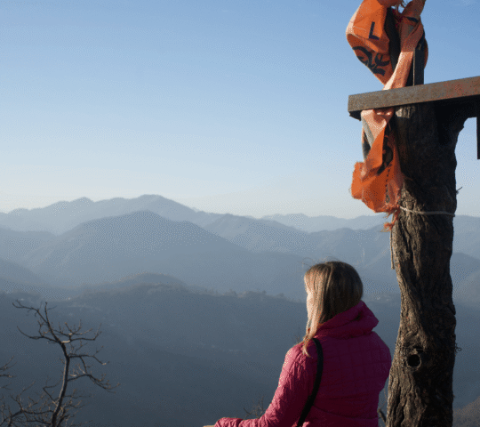 Ananda Yoga Retreat (22 Sep – 28 Sep 2025)