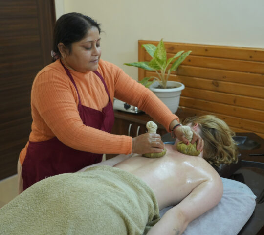 Earth Roots Ayurveda