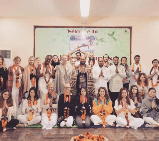 Rishikesh Vinyasa Yoga School
