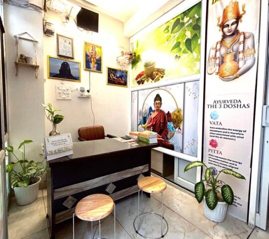 Namo Holistic Wellness & Panchkarma Centre